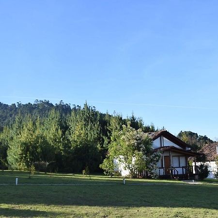 Casa Kitsch Ξενοδοχείο Zacatlán Εξωτερικό φωτογραφία