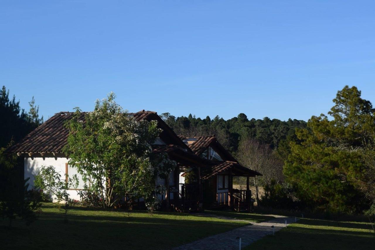 Casa Kitsch Ξενοδοχείο Zacatlán Εξωτερικό φωτογραφία