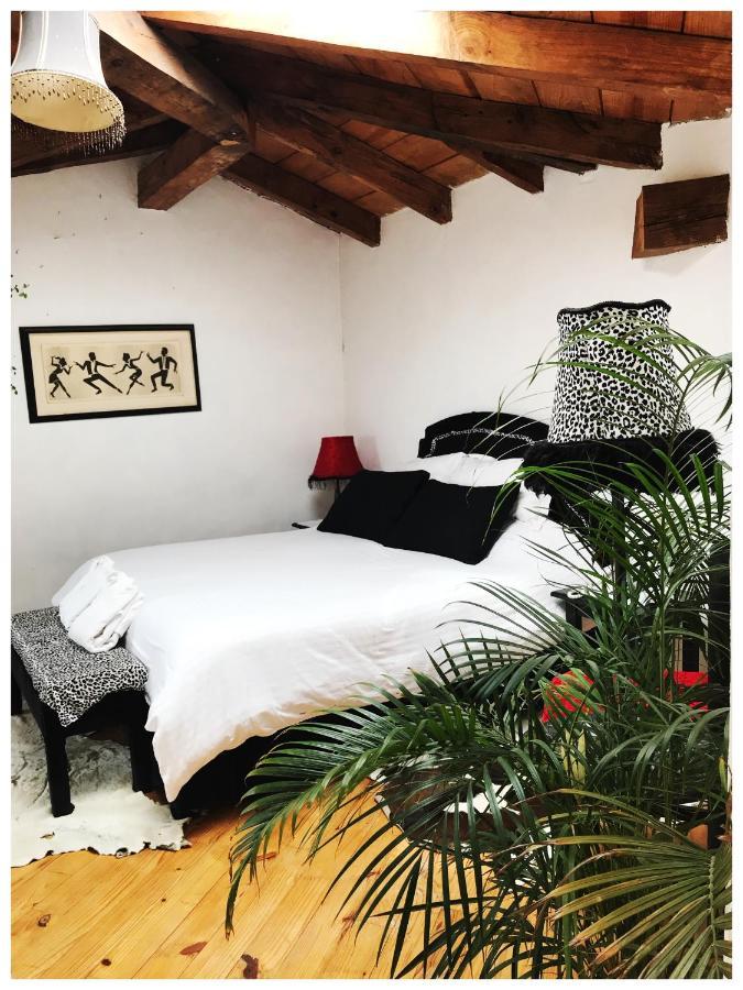 Casa Kitsch Ξενοδοχείο Zacatlán Εξωτερικό φωτογραφία