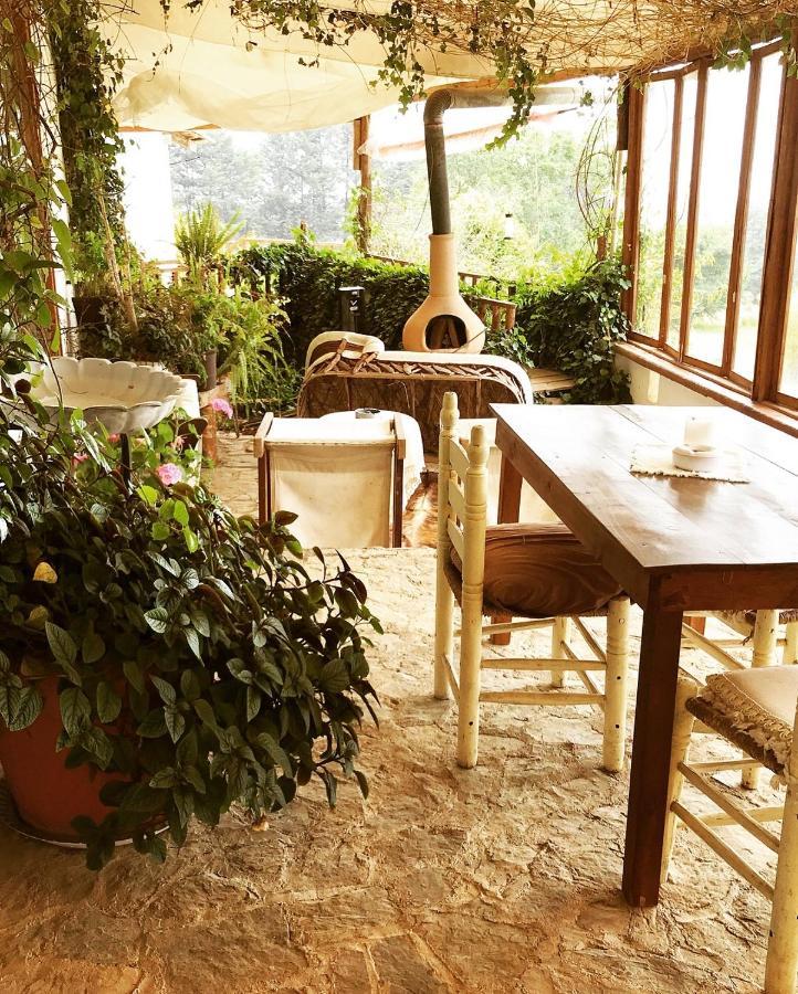 Casa Kitsch Ξενοδοχείο Zacatlán Εξωτερικό φωτογραφία