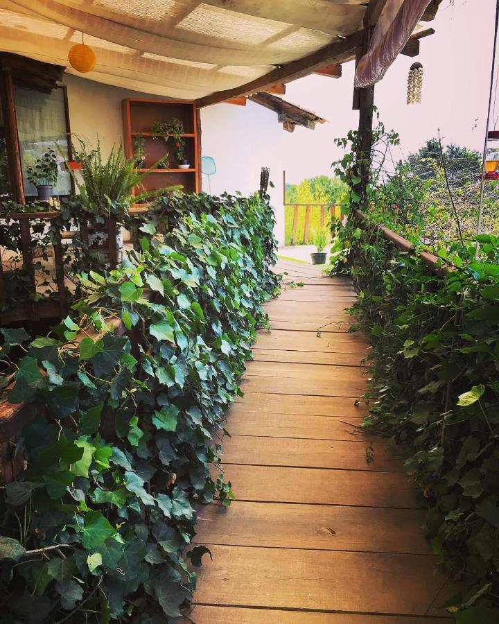 Casa Kitsch Ξενοδοχείο Zacatlán Εξωτερικό φωτογραφία